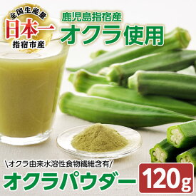 【ふるさと納税】食後の血糖値上昇を抑える！オクラ由来水溶性食物繊維のちから！オクラパウダー(120g) 鹿児島 オクラ おくら 野菜 パウダー オクラパウダー 粉末 機能性 機能性表示食品 健康食品 いぶすき 指宿 健康 オクラ水【オクラからのエール】