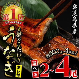 【ふるさと納税】＜内容量が選べる＞鹿児島県産うなぎ蒲焼じっくり焼き(約250g×2尾～約250g×4尾・木目化粧箱入り) うなぎ 鰻 ウナギ 無頭 鹿児島 国産 蒲焼 蒲焼き かばやき うな重 ひつまぶし 丑の日 レンジ 簡単 小分け ギフト 贈答 贈り物 冷凍【大新】