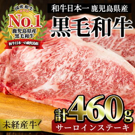 【ふるさと納税】＜国産！鹿児島県産A4未経産牛＞指宿育ちの黒毛和牛 サーロインステーキ(230g×2枚・計460g)黒毛和牛 和牛 国産 肉 牛肉 A4 冷凍 ステーキ 焼肉 未経産牛【Meat you】