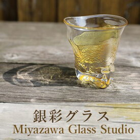 【ふるさと納税】＜ガラス工芸品＞銀彩 グラス(1個・直径110mm×120mm) ガラス グラス ペア 器 うつわ 食器 一点もの ギフト プレゼント 誕生日 還暦祝い 贈答品 贈り物 【宮澤ガラス工房】