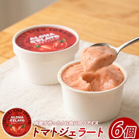 【ふるさと納税】肉屋が作った！お肉に合う！アイコトマトジェラート(6個) アイス アイスクリーム シャーベット ジェラート ベジスイーツ 詰め合わせ お取り寄せ 送料無料 【Meat you】