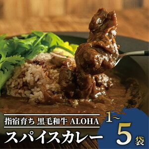 �y�ӂ邳�Ɣ[�Łz �w�h�炿���ѕP���IALOHA�X�p�C�X�J���[(200g×1�`5��) �J���[ ���g���g�J���[ �d�q�����W �������� �X�p�C�X�J���[ �r�[�t�J���[ ���g���g �����n�J���[ �����n�O���� �yMeat 