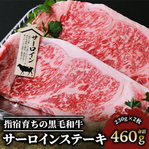 yӂ邳Ɣ[Łzwh炿̍јa T[CXe[L(230g×2Ev460g)  Xe[L T[CXe[L Ⓚ  јa a Y A4 yMeat youz