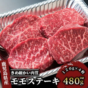 yӂ邳Ɣ[ŁzYIYA4oYwh炿̍јã̐ԐggpIXe[L(120g×e2v4Av480g)  Xe[L Ԑg Ⓚ  јa a Y A4  yMe