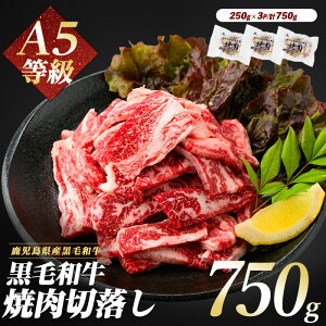 【ふるさと納税】A5等級鹿児島県産黒毛和牛焼肉切り落とし(計750g・250g×3P) 牛肉 焼き肉 切り落とし 炒め物 冷凍 肉 黒毛和牛 和牛 国産 A5 【カミチク】
