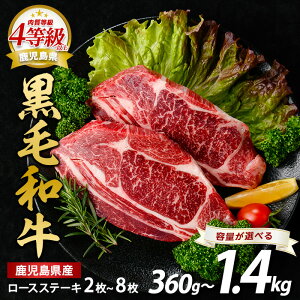 yӂ邳Ɣ[ŁzeʂIׂ遄 4ȏIY јa [XXe[L(v360g`1.4kg)   a Y [X w Ԑg Xe[L A4 y{Yz