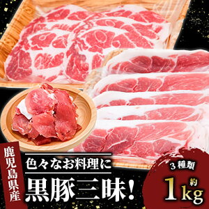yӂ邳Ɣ[ŁzY̍؎O(v800gEؐؗƂ400gA؂傤Ă300gAؐn100g)  ؓ   ؂藎Ƃ ،[X IĂ Ⓚ Y n  y{