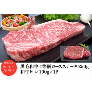 yӂ邳Ɣ[ŁzaA4[XXe[L250g+aqXe[L100g+ؐn1P100g  Xe[L [X tB q Ⓚ  јa a Y A4  n y{Yz