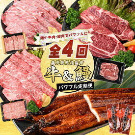 【ふるさと納税】＜定期便！全4回(連続)＞鹿児島自慢の牛・うなぎ パワフル定期便！ 定期便 鹿児島 肉 牛肉 和牛 ロース 肩ロース 有頭鰻 蒲焼き うな重 すき焼き しゃぶしゃぶ 薄切り 冷凍 こだわり 国産 特産品 指宿 牛すきステーキ【水迫畜産】