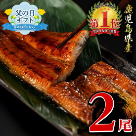 【ふるさと納税】＜父の日ギフト＞鹿児島県産うなぎ蒲焼じっくり焼き(約250g×2尾・木目化粧箱入り) うなぎ 鰻 ウナギ 無頭 鹿児島 国産 蒲焼 蒲焼き かばやき うな重 ひつまぶし 丑の日 レンジ 簡単 小分け ギフト 贈答 贈り物 冷凍 プレゼント 父の日【大新】