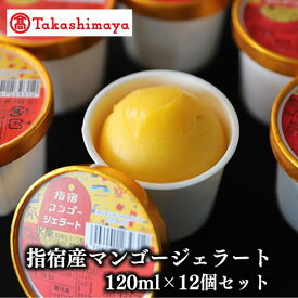 【ふるさと納税】＜高島屋選定品＞指宿マンゴージェラート12個セット(6個×2箱) アイス アイスクリーム シャーベット ジェラート 詰め合わせ お取り寄せ 送料無料 【高島屋】
