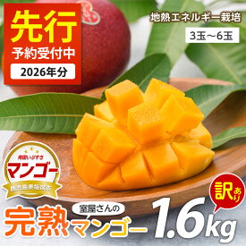 【ふるさと納税】＜先行予約受付中！2026年6月上旬以降順次発送＞＜訳あり・傷などのため規格外品＞室屋さんの完熟指宿産マンゴー(3玉〜6玉入・約1.6kg) 訳アリ マンゴー フルーツ 果物 デザート スイーツ 家庭用 自宅用 スムージー ヨーグルト【中園久太郎商店】