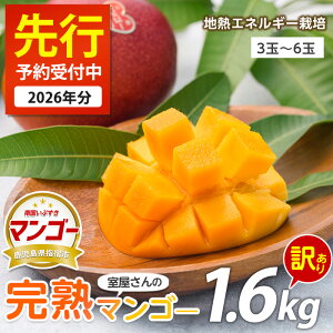 【ふるさと納税】<先行予約受付中!2026年6月上旬以降順次発送><訳あり・傷などのため規格外品>室屋さんの完熟指宿産マンゴー(3玉〜6玉入・約1.6kg) 訳アリ マンゴー フルーツ 果物 デザ