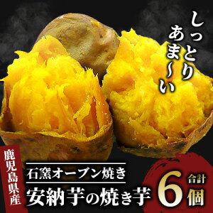yӂ邳Ɣ[ŁzY[gpIƂ[̗ⓀĂ(250g×6) Ă ₫ Ⓚ ܂ Tc}C [ XC[c yvYXz