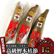 楽天市場】ふるさと納税 こころ節の通販