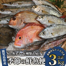 【ふるさと納税】＜指宿産直便＞漁師が選ぶ季節の鮮魚便お試しセット(3〜6種・合計約3kg) 魚 鮮魚 鮮魚ボックス お楽しみボックス 刺身 さしみ 刺し身 【指宿山川水産合同会社】