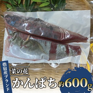 yӂ邳Ɣ[ŁzYI؂̉ԂςtB1pbNg(600g) ς Jp` hg hg  Ⓚ ^pbN CN  ywhR쐅YЁz
