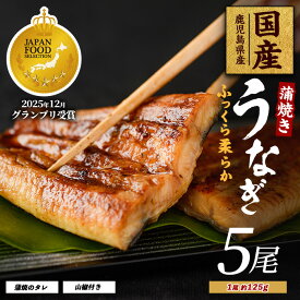 【ふるさと納税】【鹿児島県産】うなぎ蒲焼じっくり焼き約125g×5尾 化粧箱入り 鰻 ウナギ 蒲焼 国産 丑の日 うな重 無頭 ギフト プレゼント 贈り物 贈答 惣菜 総菜 小分け【大新】