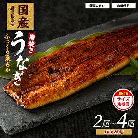 【ふるさと納税】＜内容量が選べる＞鹿児島県産うなぎ蒲焼じっくり焼き(約250g×2尾〜約250g×4尾・木目化粧箱入り／定期便・約250g×2尾・木目化粧箱入り×3回) うなぎ 鰻 ウナギ 無頭 鹿児島 国産 蒲焼 うな重 ひつまぶし【大新】