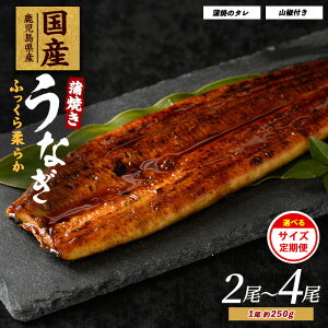 【ふるさと納税】<内容量が選べる>鹿児島県産うなぎ蒲焼じっくり焼き(約250g×2尾〜約250g×4尾・木目化粧箱入り/定期便・約250g×2尾・木目化粧箱入り×3回) うなぎ 鰻 ウナギ 無頭 鹿児島