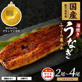 【ふるさと納税】＜内容量が選べる＞鹿児島県産うなぎ蒲焼じっくり焼き(約250g×2尾〜約250g×4尾・木目化粧箱入り／定期便・約250g×2尾・木目化粧箱入り×3回) うなぎ ウナギ【大新】