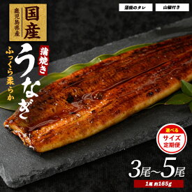 【ふるさと納税】＜内容量が選べる＞鹿児島県産うなぎ蒲焼(約165g×3尾〜約165g×5尾・たれ・山椒付／定期便・約165g×5尾・たれ・山椒付×3回) うなぎ 鰻 ウナギ 鹿児島 国産 蒲焼き かばやき 冷凍 うな重 うな丼 ひつまぶし 【大新】