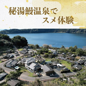 yӂ邳Ɣ[Łz铒VŃX̌ ǂ񈤌13CTI (1l) ̌ w ό wh  X     V Ȃ ǂ  KCh cA[ 