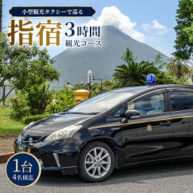 【ふるさと納税】小型タクシーで巡る 指宿3時間観光コース ＜1台4名様迄＞タクシー いぶすき 観光 コース 観光券 券 チケット 利用券 旅行 トラベル 貸切 九州【鹿児島第一交通】