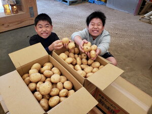 yӂ邳Ɣ[Łzy2025Nnz{ q t@[ VႪ _ LTCY 10kg ^ ϕꂵÂ炢 ϕ  tCh|eg ǂȗɂ Ⴊ jV^J