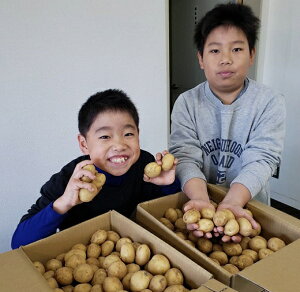 yӂ邳Ɣ[Łzt@[̐VႪ STCY 10kg