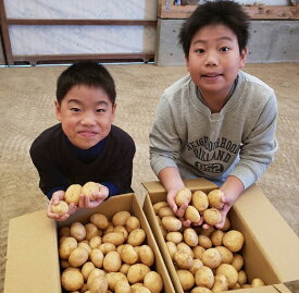 【ふるさと納税】中園ファームのじゃがいも Mサイズ 10kg