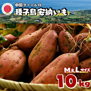 yӂ邳Ɣ[Łz_ V 9{`\ ^ t@[̎q[ijM&LTCY@10kg