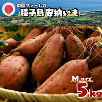 楽天市場】安納芋の通販