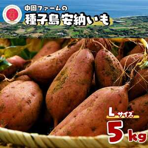 yӂ邳Ɣ[Łz_ V 9{`\ ^ q [ _ LTCY  5kg ^ t@[ ӂ邳Ɣ[ ܂  ӂ邳Ɣ[ Ă zNzN ˂Ƃ oق 