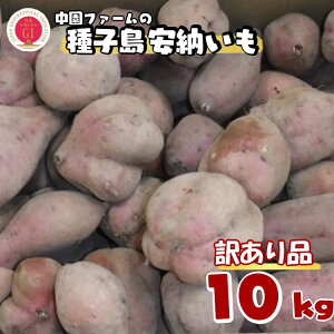 yӂ邳Ɣ[Łz_ V 9{`\ ^ y 󂠂 z q [ _ e 킯  10kg ^ t@[ ӂ邳Ɣ[ ܂  ӂ邳Ɣ[ Ă zNzN 
