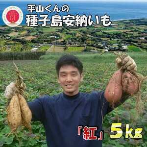 yӂ邳Ɣ[Łz_ VEs\ ^ R̎q[ugviMTCYj@5kg