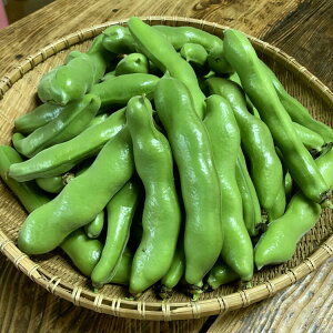 yӂ邳Ɣ[Łzyߘa7NxYIzq̑t܂߁@2kg ys\z