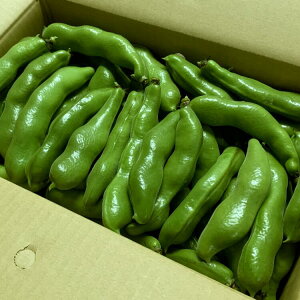 yӂ邳Ɣ[Łzyߘa7NxYIzq̑t܂߁@4kg ys\ z