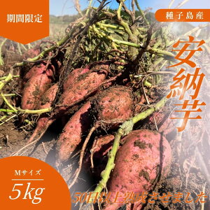 yӂ邳Ɣ[Łz_ V ^ q [ _ MTCY  5kg ^ c_Y ӂ邳Ɣ[ ܂  n Ă zNzN ˂Ƃ oق Â [  ӂ邳 lC 