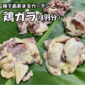 【ふるさと納税】種子島　夢まるガーデンの鶏ガラ（8羽分）約3kg