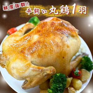 yӂ邳Ɣ[Łzq ܂K[f { 1H