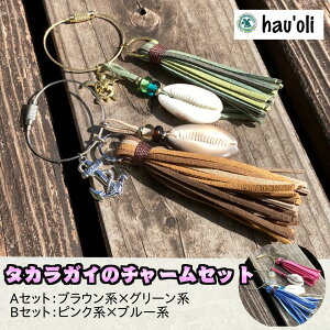 yӂ邳Ɣ[ŁzqEhau'oli@^JKC̃yAEobO`[
