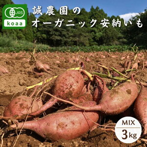 yӂ邳Ɣ[Łz qY I[KjbN ( L@ ) q [ (_) 3kg