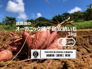 yӂ邳Ɣ[Łz_s\^ qY I[KjbN ( L@ ) q [ (_) 3kg