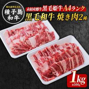 yӂ邳Ɣ[ŁzyV\s܂̍јazјa BBQ ēZbg 1kg qǂH ł񋟊Jn q