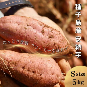 yӂ邳Ɣ[ŁzV Es\ / q ߂\ [ (  ) S TCY 5kg ӂ邳Ɣ[ ܂  ӂ邳Ɣ[ Ă zNzN ˂Ƃ oق Â [