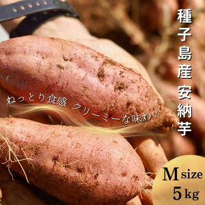 yӂ邳Ɣ[ŁzV Es\ / q ߂\ [ (  ) M TCY 5kgӂ邳Ɣ[ ܂  ӂ邳Ɣ[ Ă zNzN ˂Ƃ oق Â [
