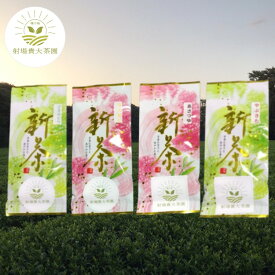 【ふるさと納税】 ＼ R8年産 ／ 種子島 射場貴大 茶園 「さえみどり」 「あさつゆ」 「なんめい」 「やぶきた」 茶ツウ が 喜ぶ 単品 味わい セット 新茶 緑茶 日本茶 お茶 煎茶 1番茶 一番茶