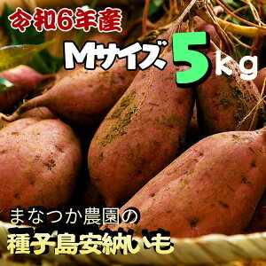 yӂ邳Ɣ[Łz_ VEs\ ^ q [ _ MTCY  5kg ^܂Ȃ_@݌ɂȂȂ莟tI