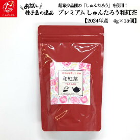 【ふるさと納税】【たねがしまる4000】希少品種 しゅんたろう 和紅茶 （ティーパック）